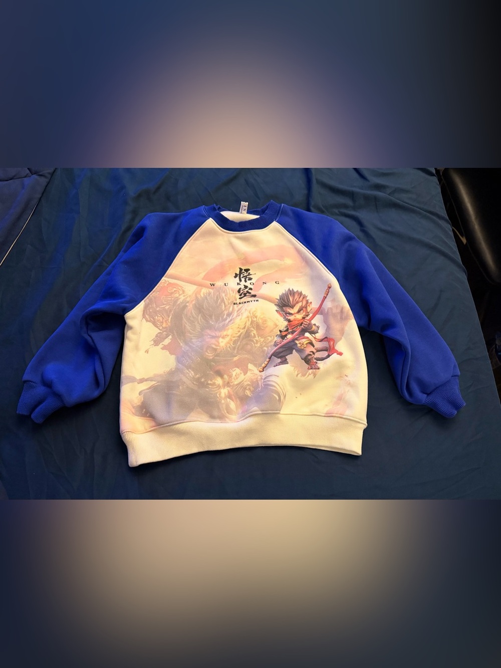 Blue and Cream Graphic Raglan boy’s Sweater